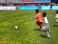 法兰克福 VS 斯图加特